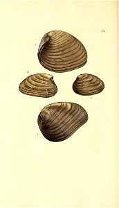 n237_w1150