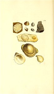n169_w1150