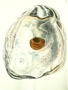 n295_w1150