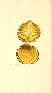n227_w1150