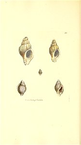 n169_w1150