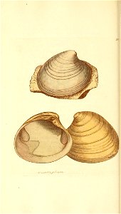 n103_w1150