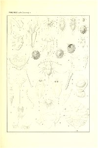n140_w1150