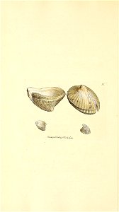 n163_w1150