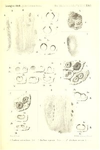n46_w1150