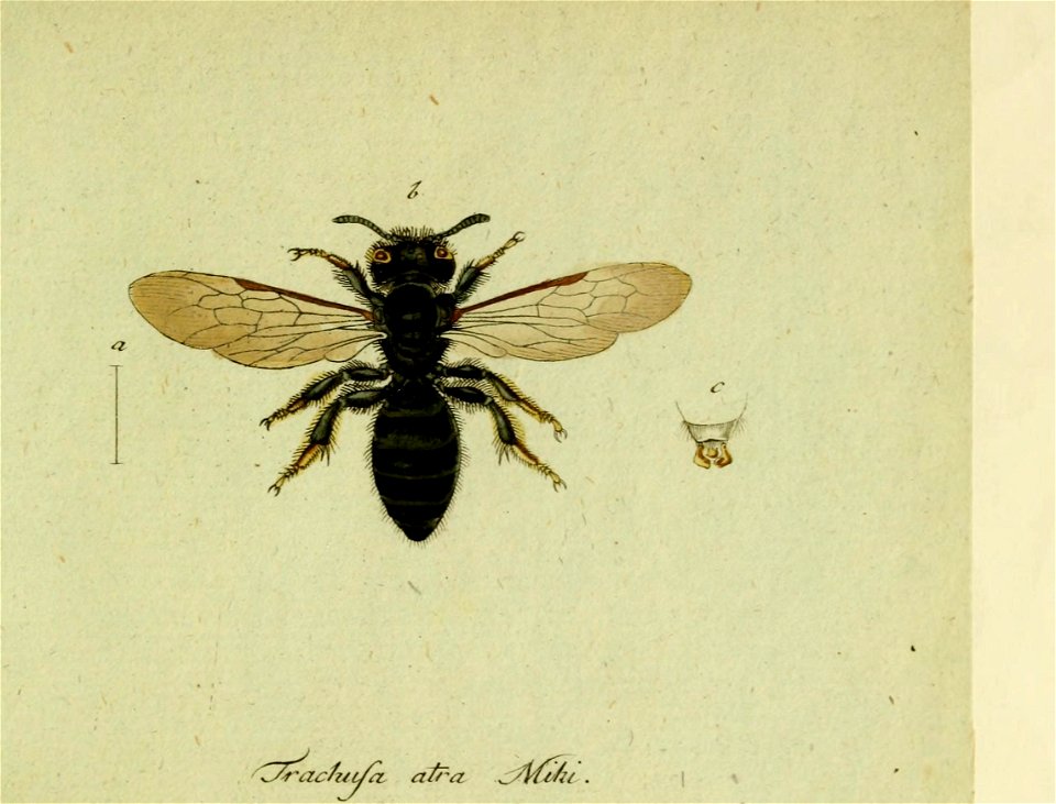 n578_w1150