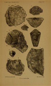 n664_w1150