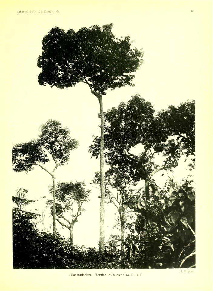 n16_w1150