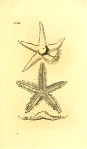n50_w1150