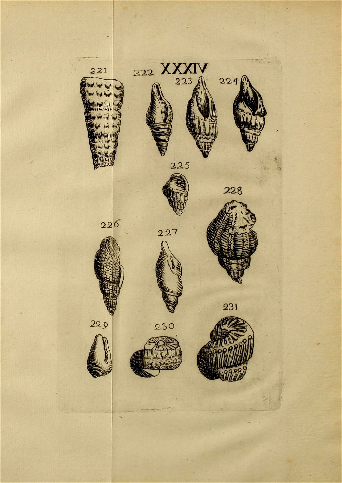n406_w1150