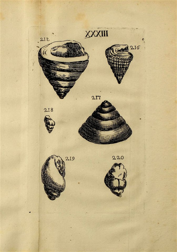 n402_w1150