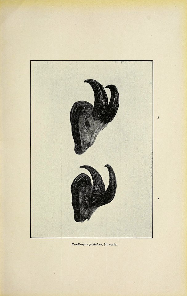 n38_w1150