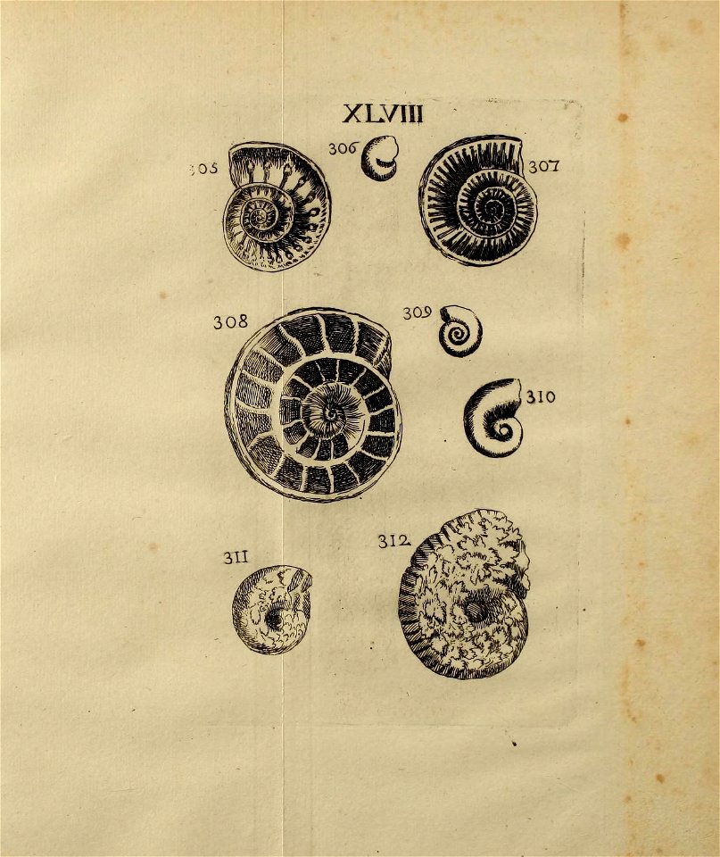 n462_w1150