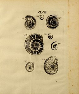 n462_w1150