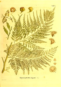 n58_w1150