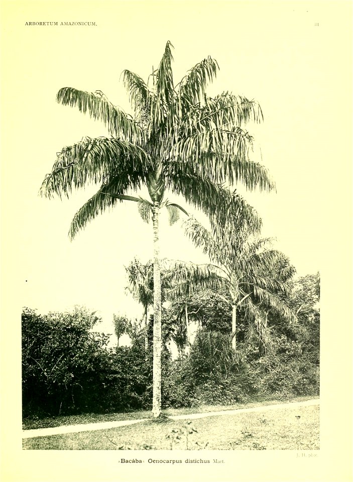 n4_w1150