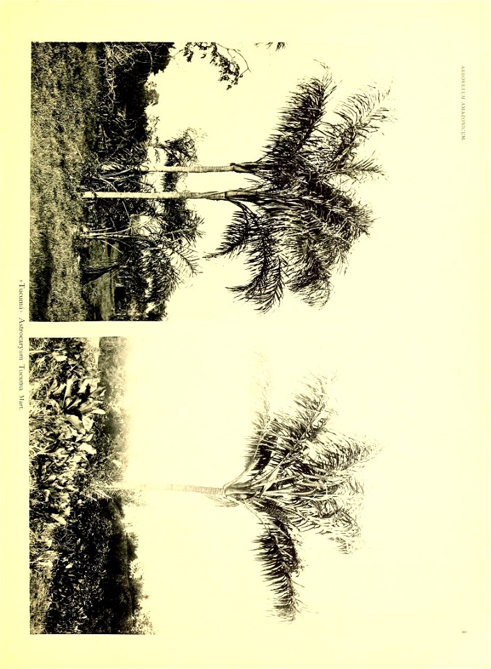 n4_w1150