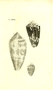 n74_w1150