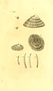 n44_w1150
