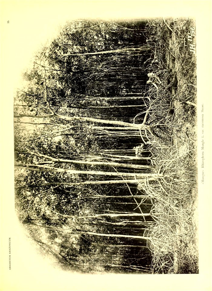 n20_w1150