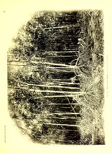 n20_w1150