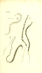 n102_w1150