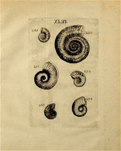 n454_w1150
