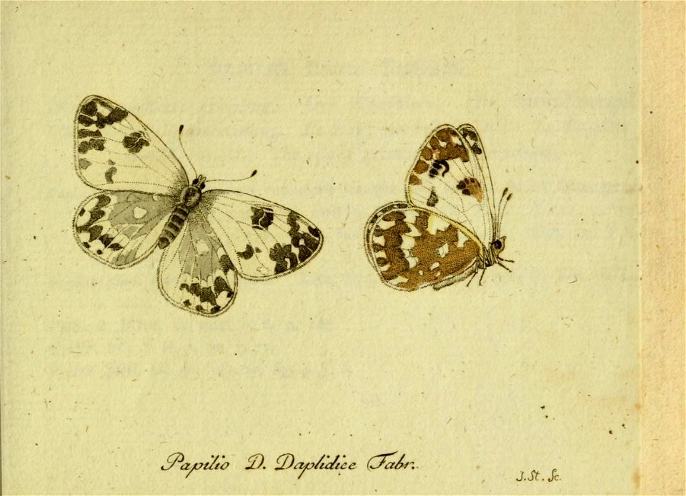 n190_w1150