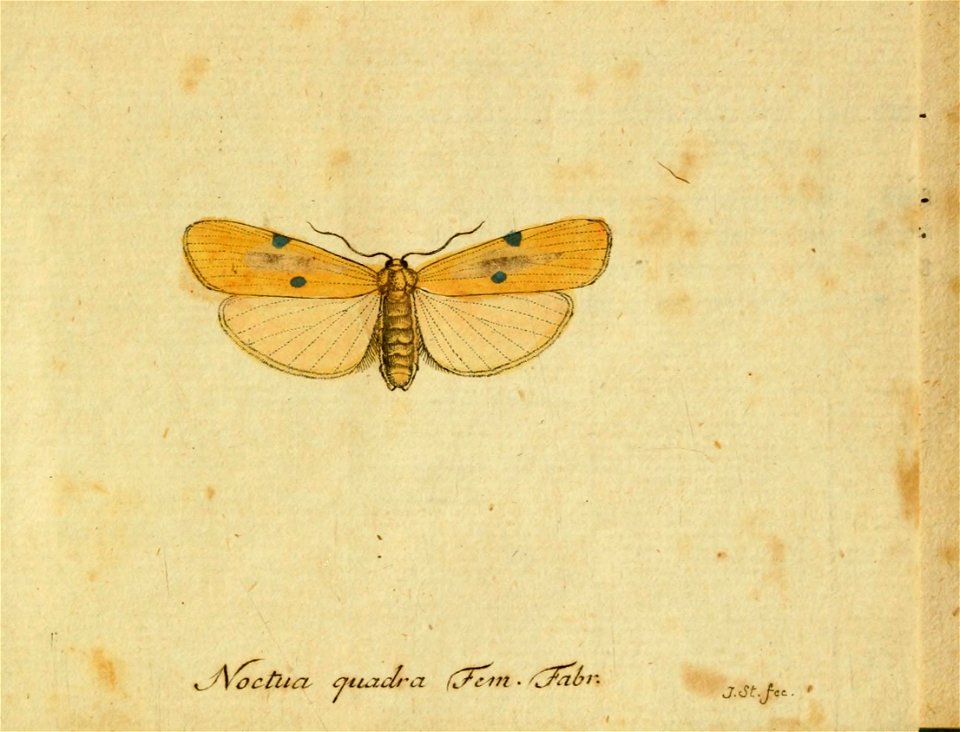 n598_w1150