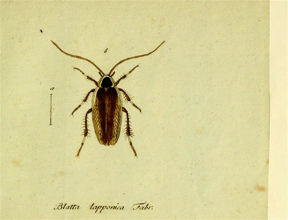 n554_w1150