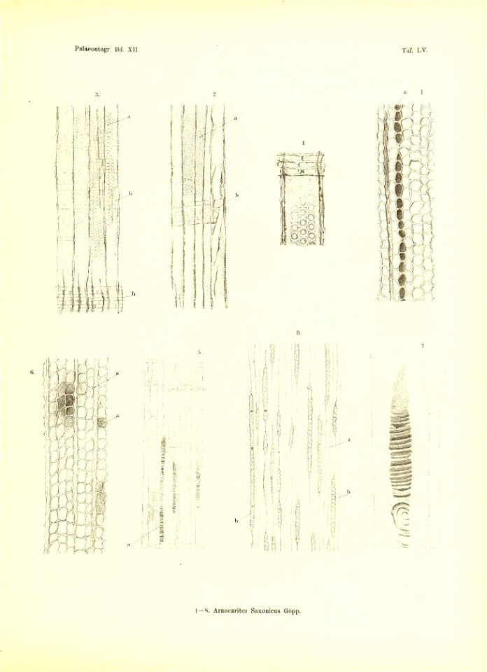n454_w1150