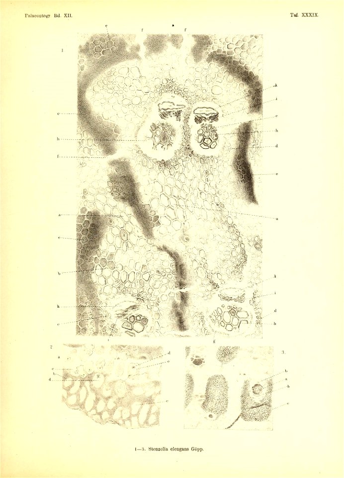 n422_w1150