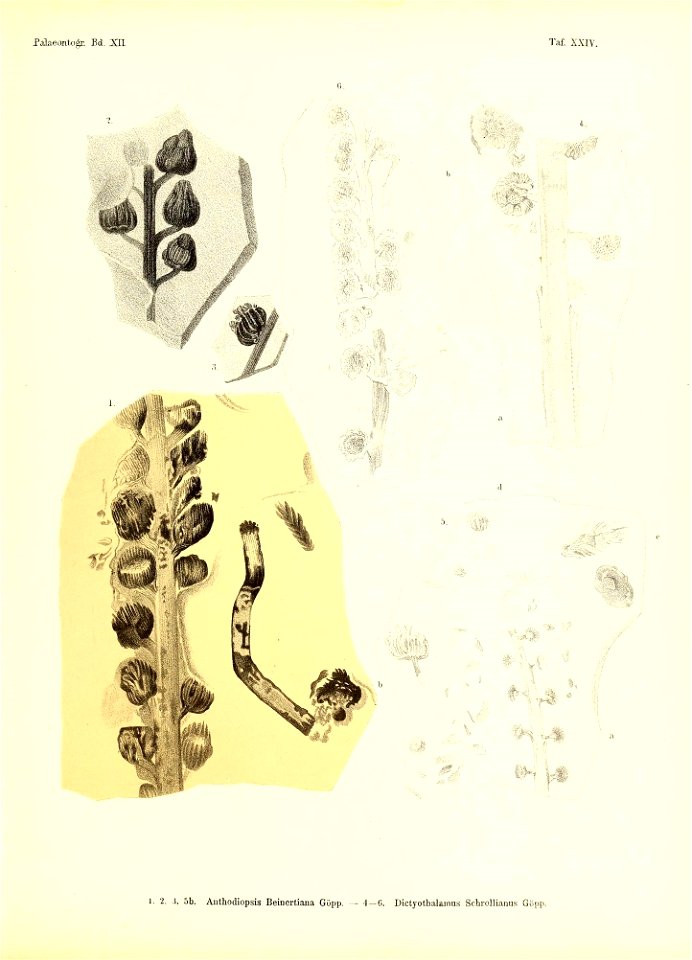 n384_w1150