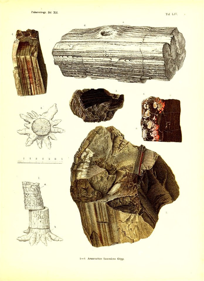 n452_w1150