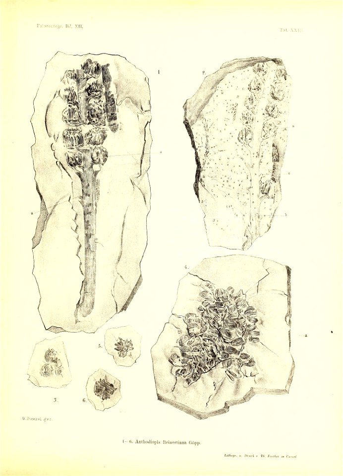 n382_w1150