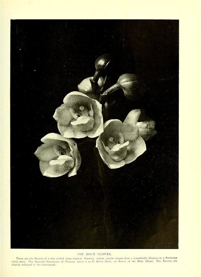 n578_w1150