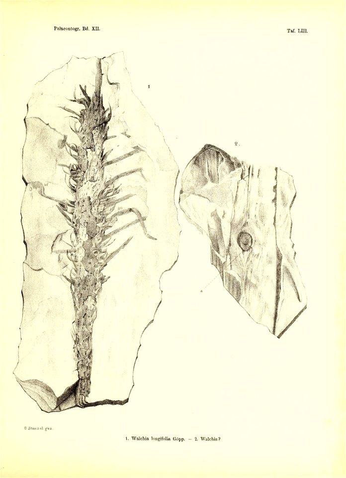 n450_w1150