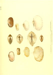n210_w1150