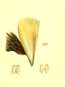 n372_w1150