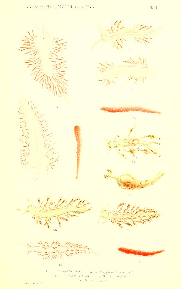 n112_w1150