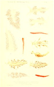 n112_w1150