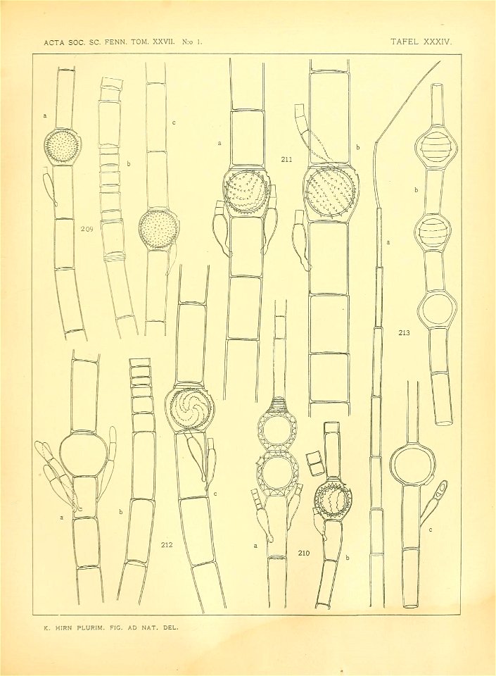 n544_w1150