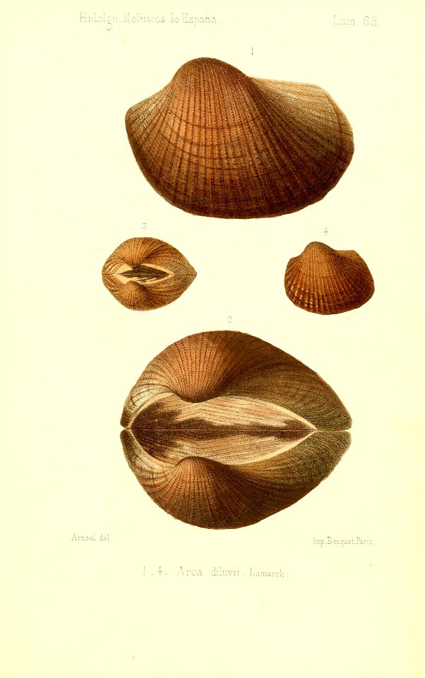 n502_w1150