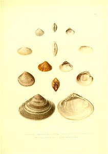 n176_w1150