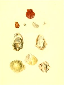n368_w1150