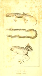 n505_w1150