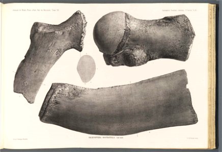 n174_w1150
