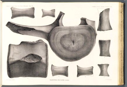 n112_w1150