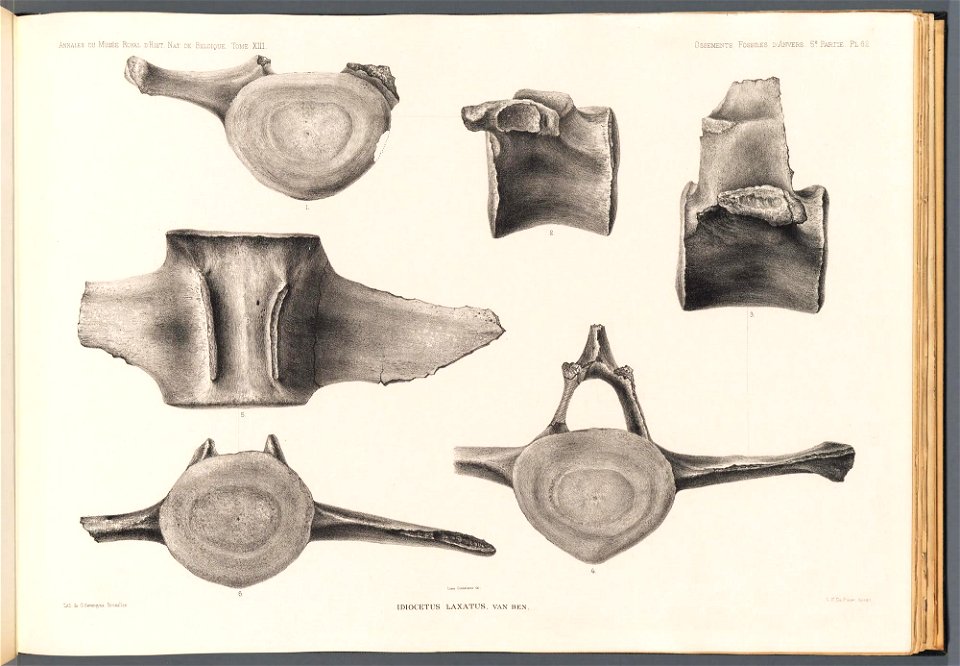 n259_w1150