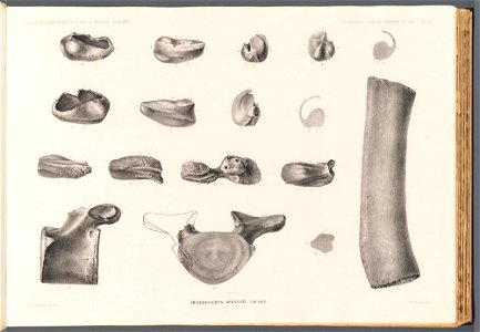 n136_w1150